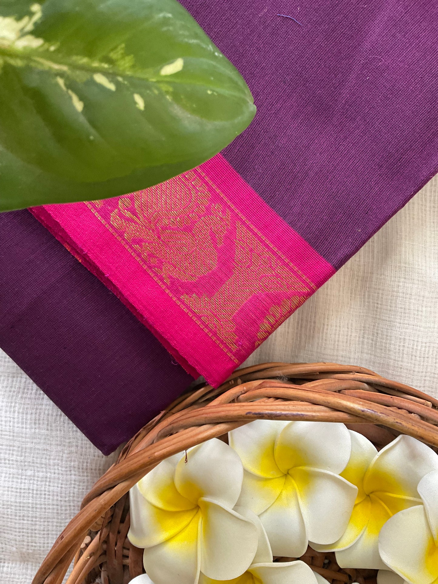 Raspberry Glow Kanchi cotton saree