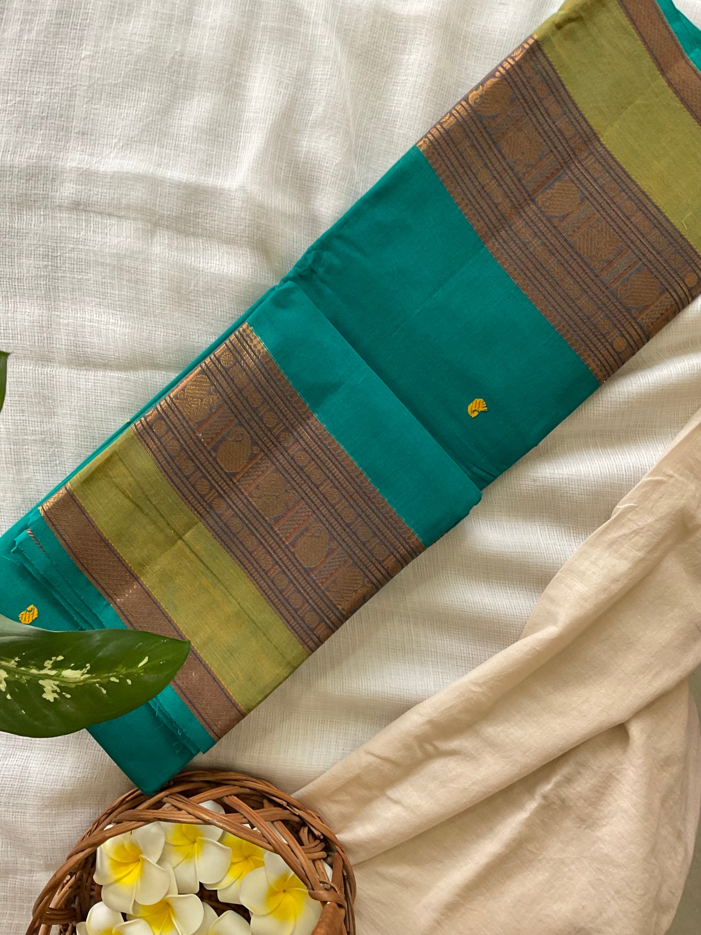 Turquoise Kanchi cotton saree