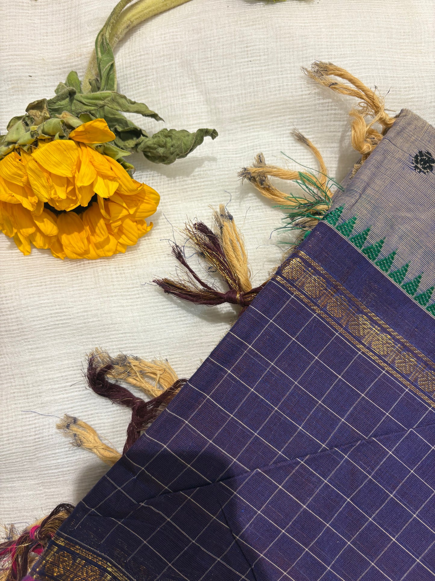 Sapphire Checks Saree
