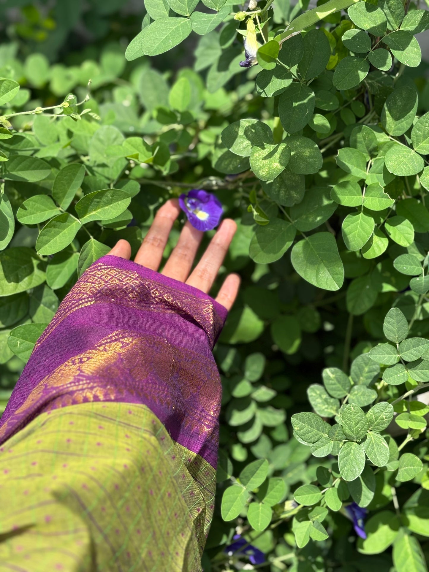 Mint kurta dupatta