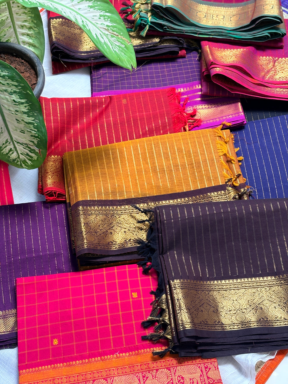 Sample & Clearance Sale – Tint