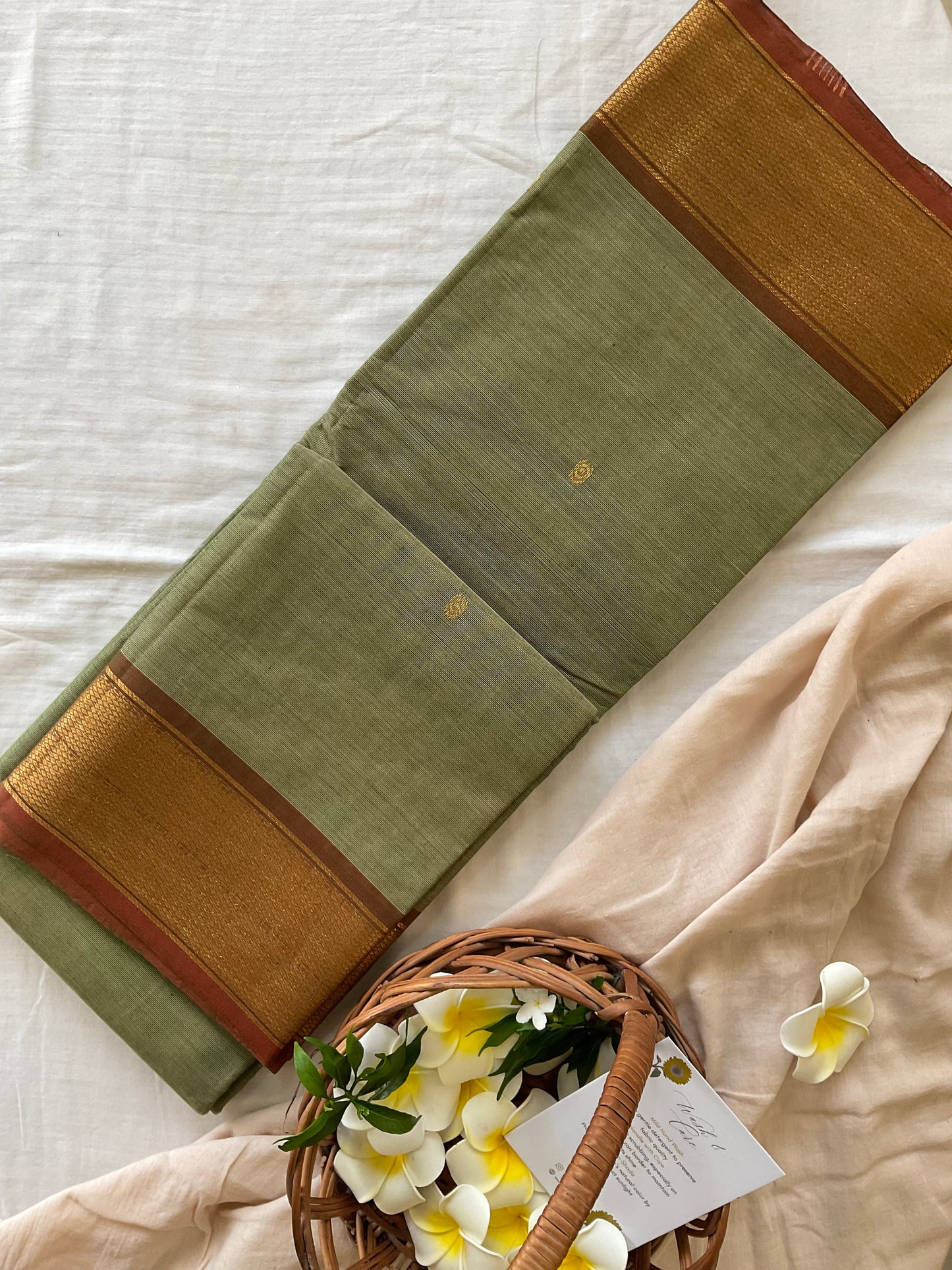 Pastel green Kanchi saree