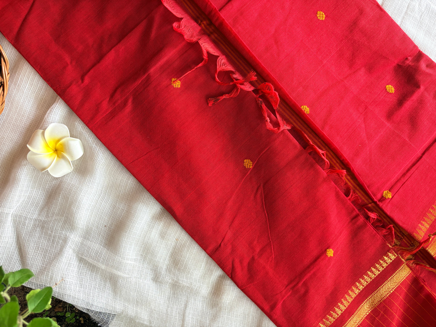 Rust Ruby saree