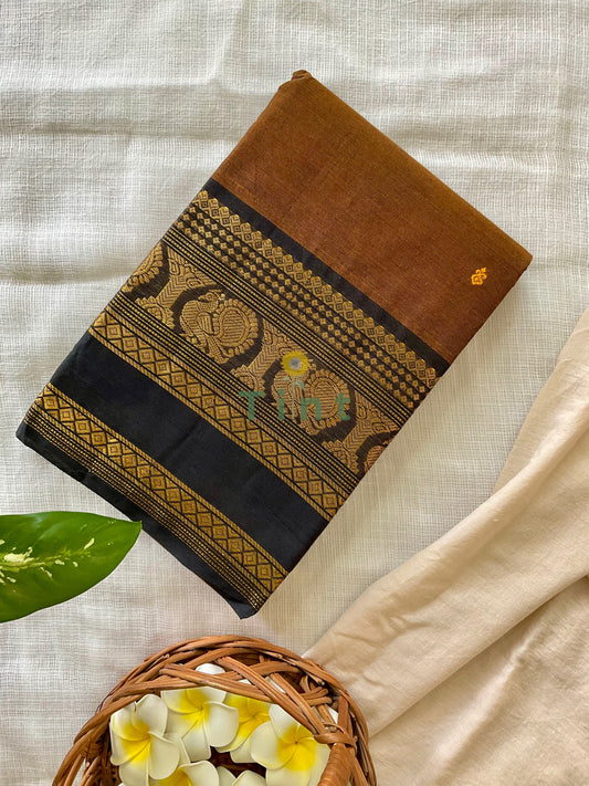 Koffee Kanchi cotton saree