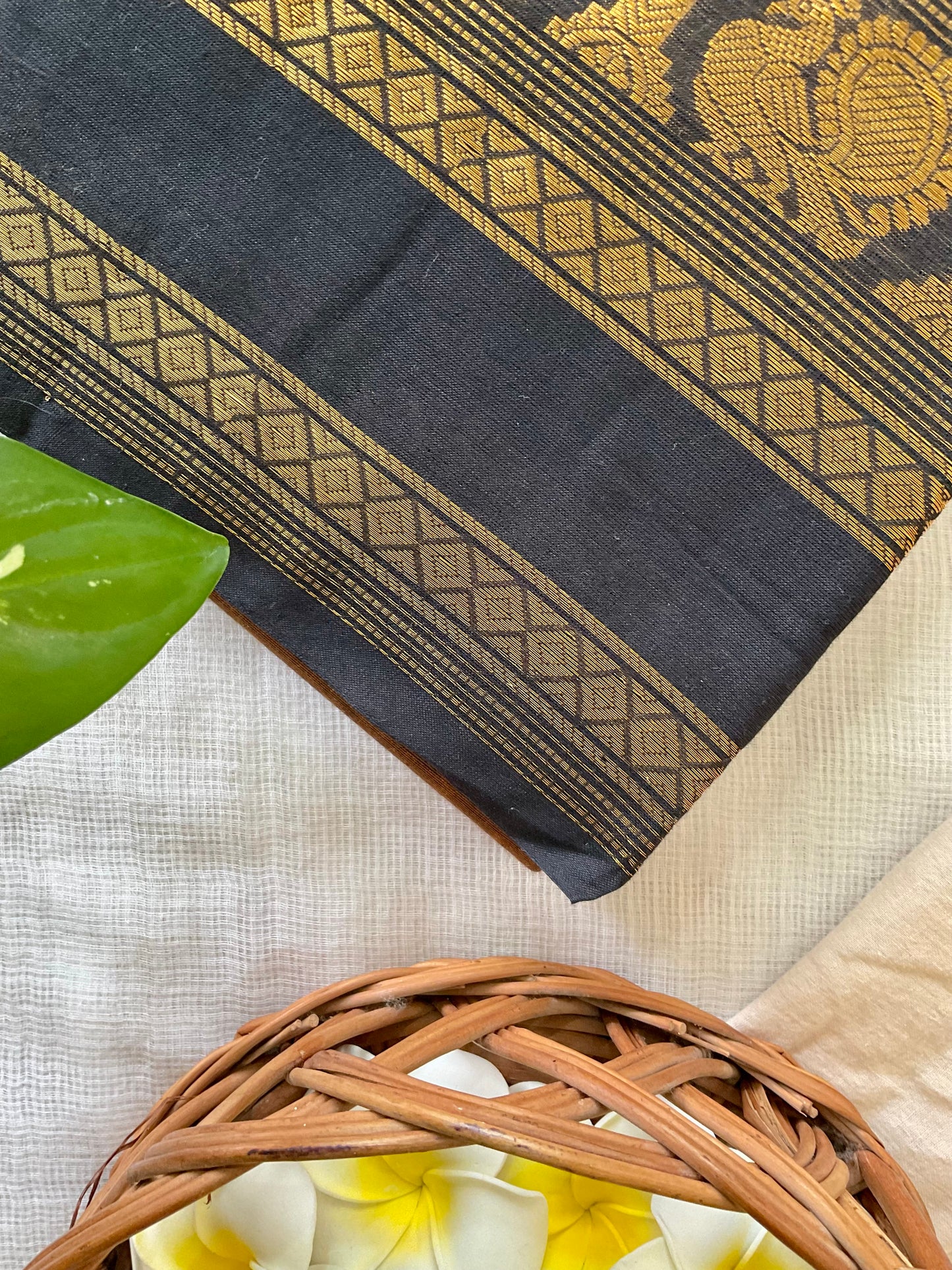 Koffee Kanchi cotton saree