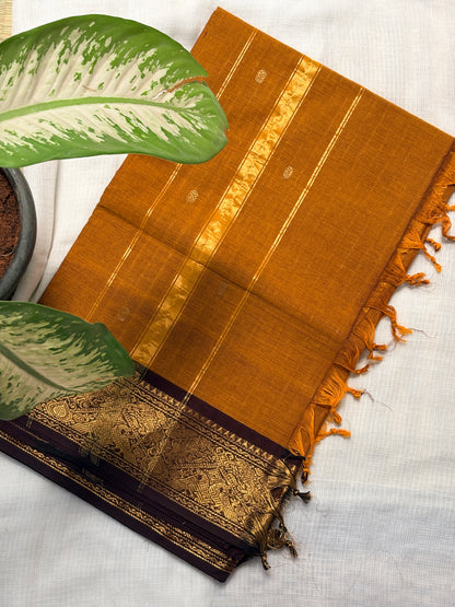 Cocoa Kanchi cotton kurta dupatta