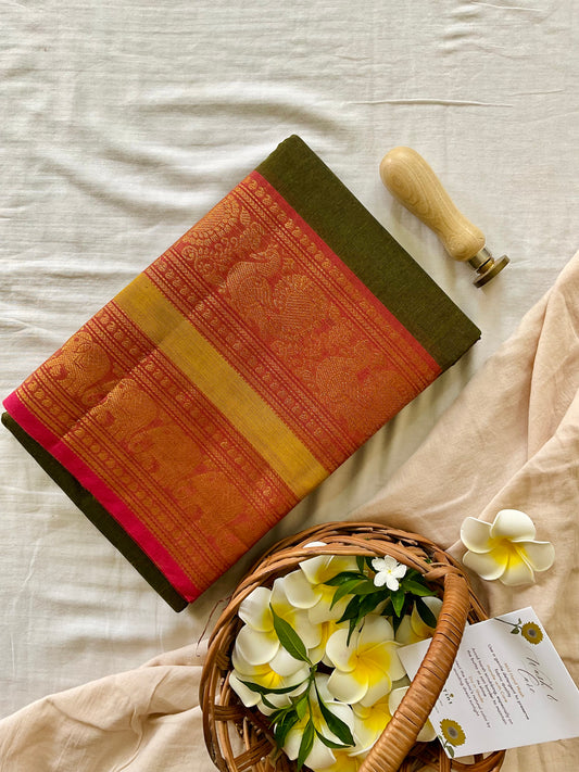 Harvest Glow Kanchi cotton saree