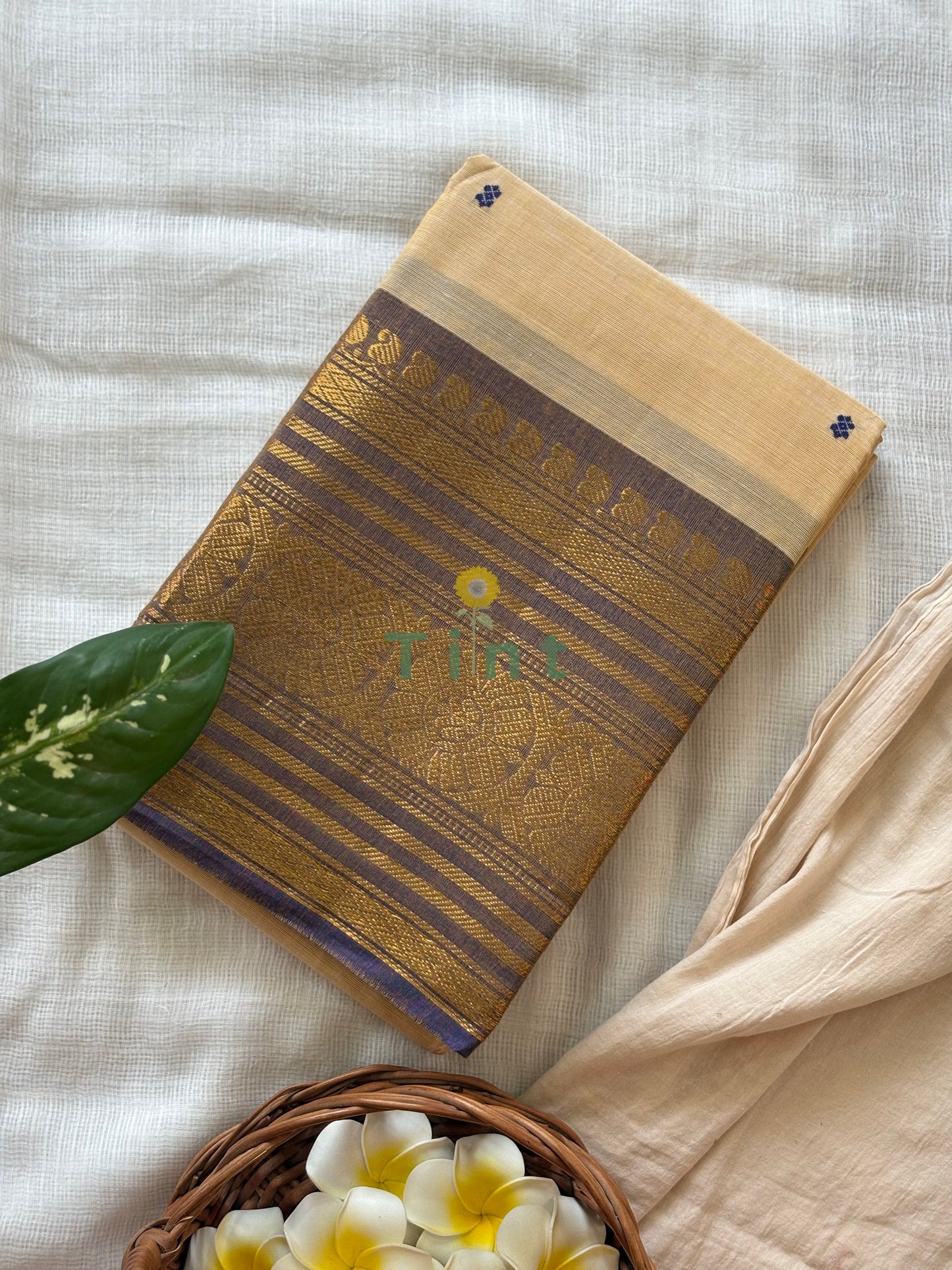 Vintage Cream Kanchi cotton saree