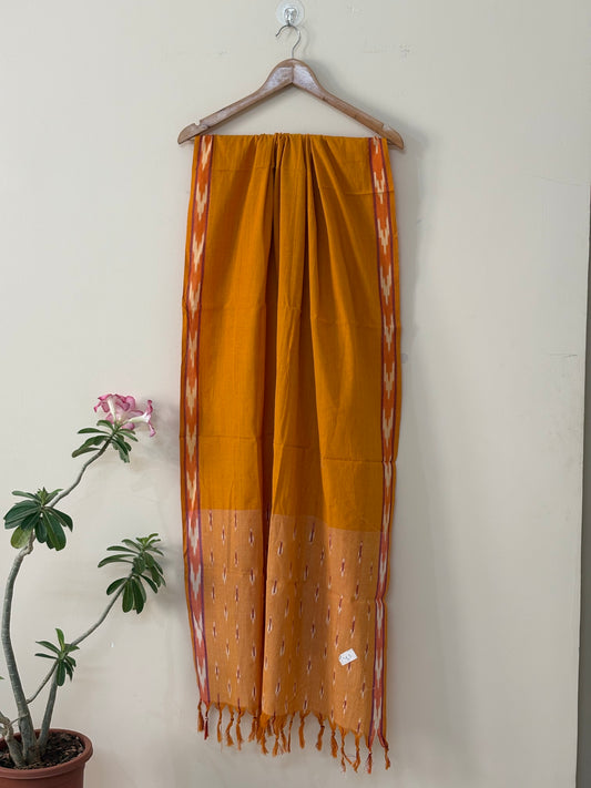 Sunburst Ikat Dupatta