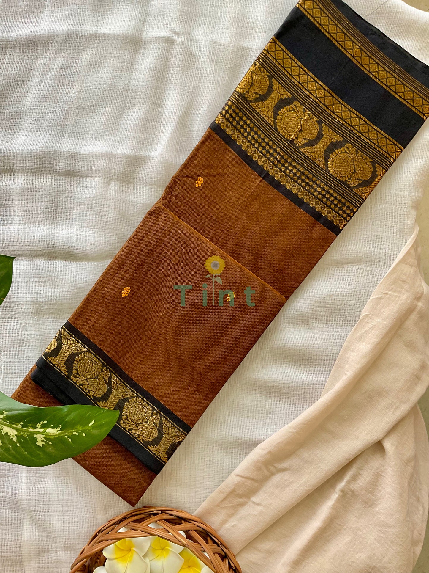 Koffee Kanchi cotton saree