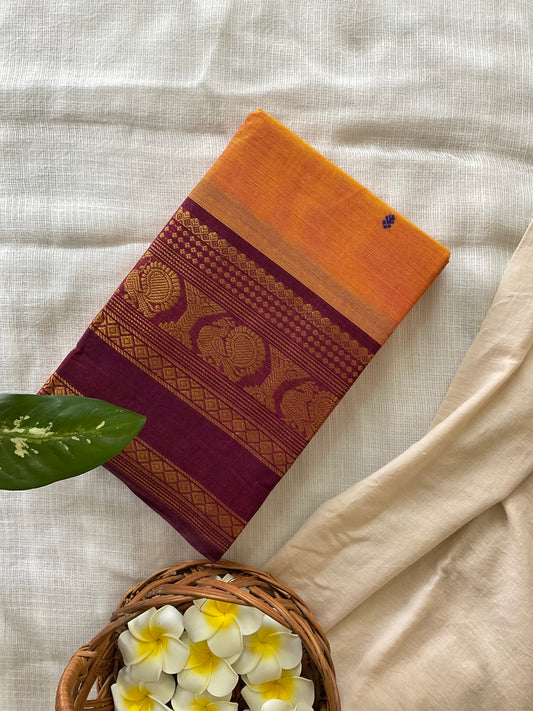 Sunset bloom Kanchi cotton saree
