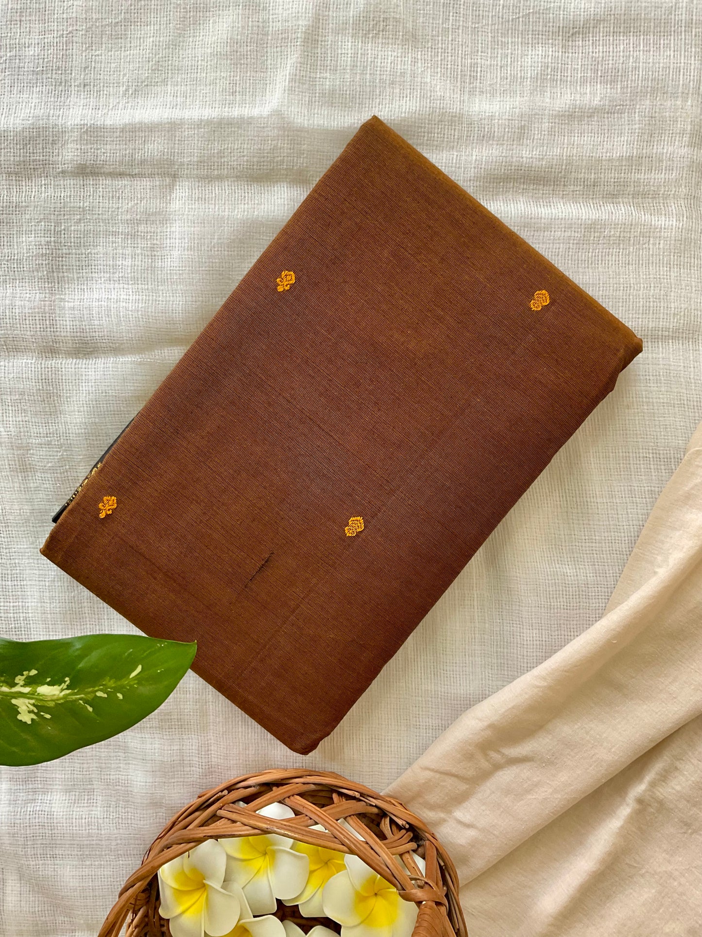 Koffee Kanchi cotton saree