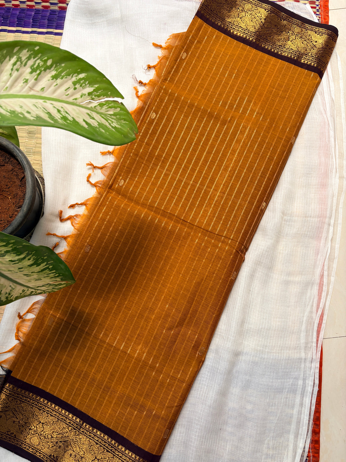 Cocoa Kanchi cotton kurta dupatta